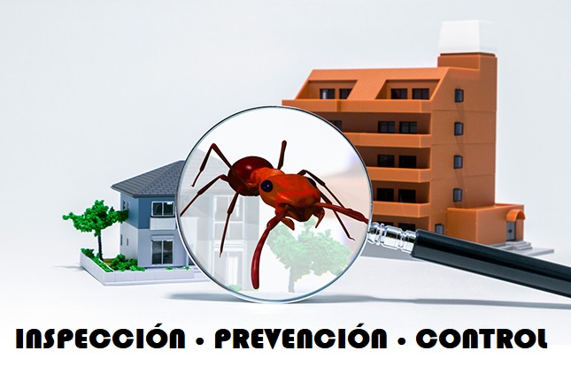 medidas preventivas correctoras control de plagas