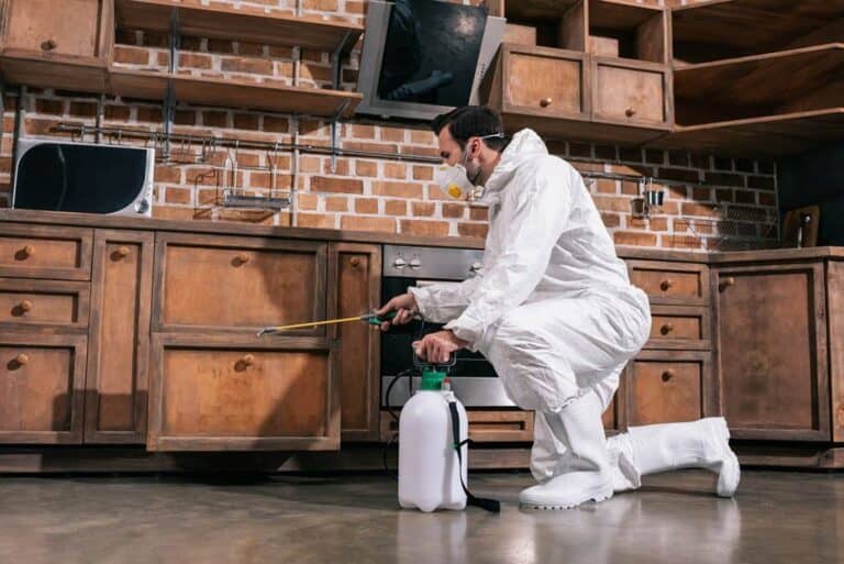 control-de-plagas-santa-coloma-de-gramenet-hombre-fumigando-4